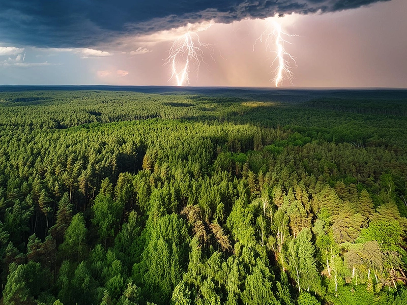 Climate Action