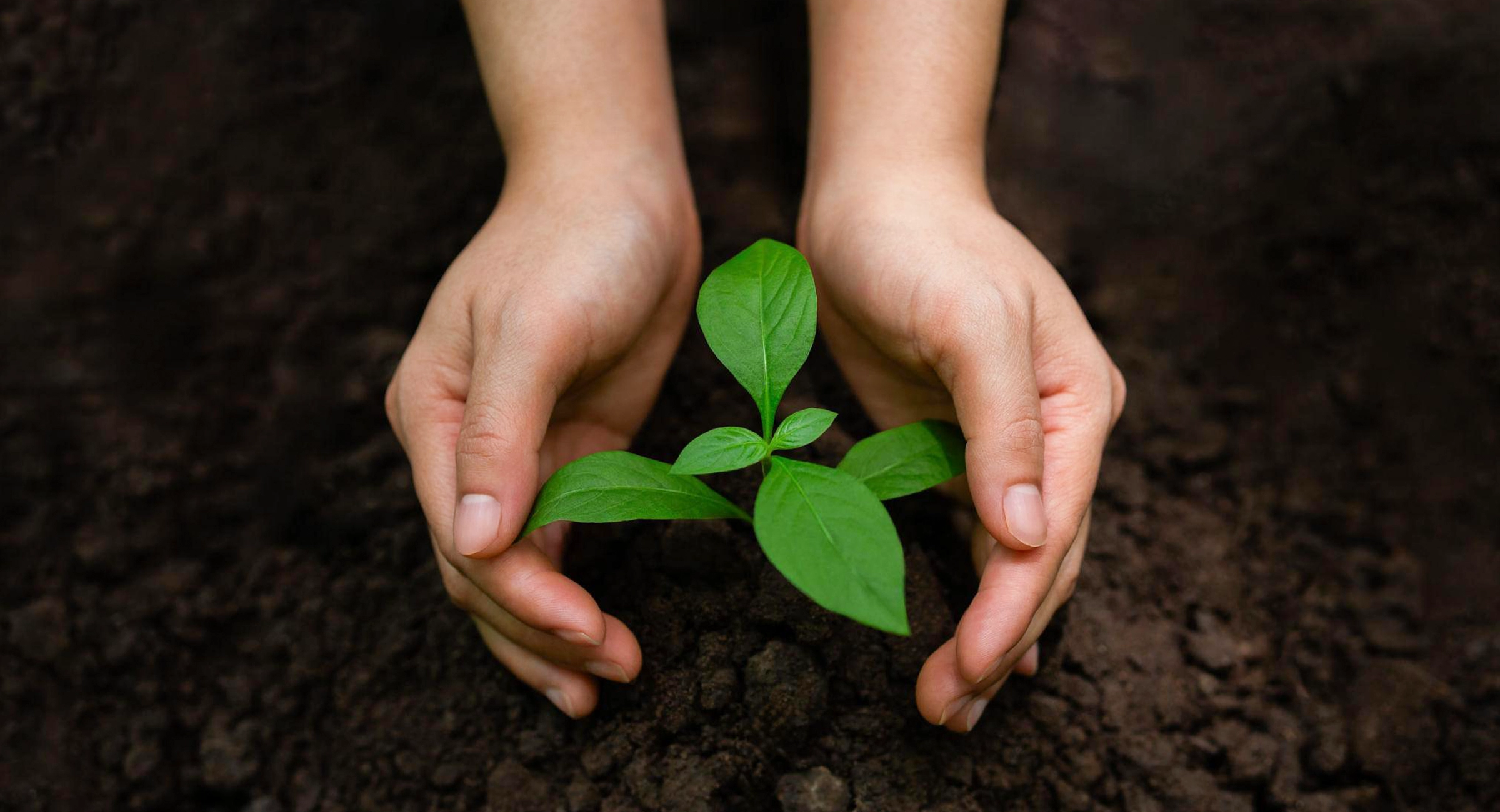 We are committed to responsible growth by integrating environmental care, social responsibility, and strong governance into our operations for a sustainable future. Image